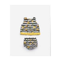 Conjunto limones