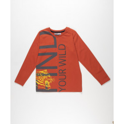 Camiseta manga larga