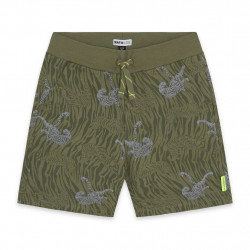 Bermudas tigres