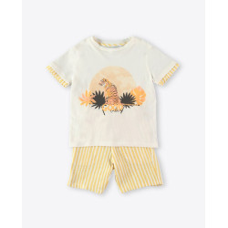 Conjunto rayas
